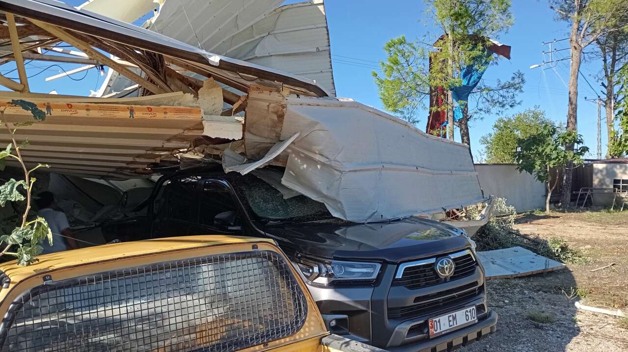 Tavuk çiftliği talan oldu, 20 bin civciv öldü 3